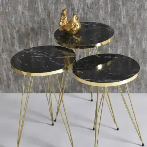 Home Essential Set Of 3 Coffee Table Golden (black)