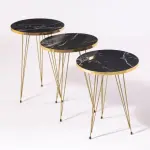 Home Essential Set Of 3 Coffee Table Golden (black)